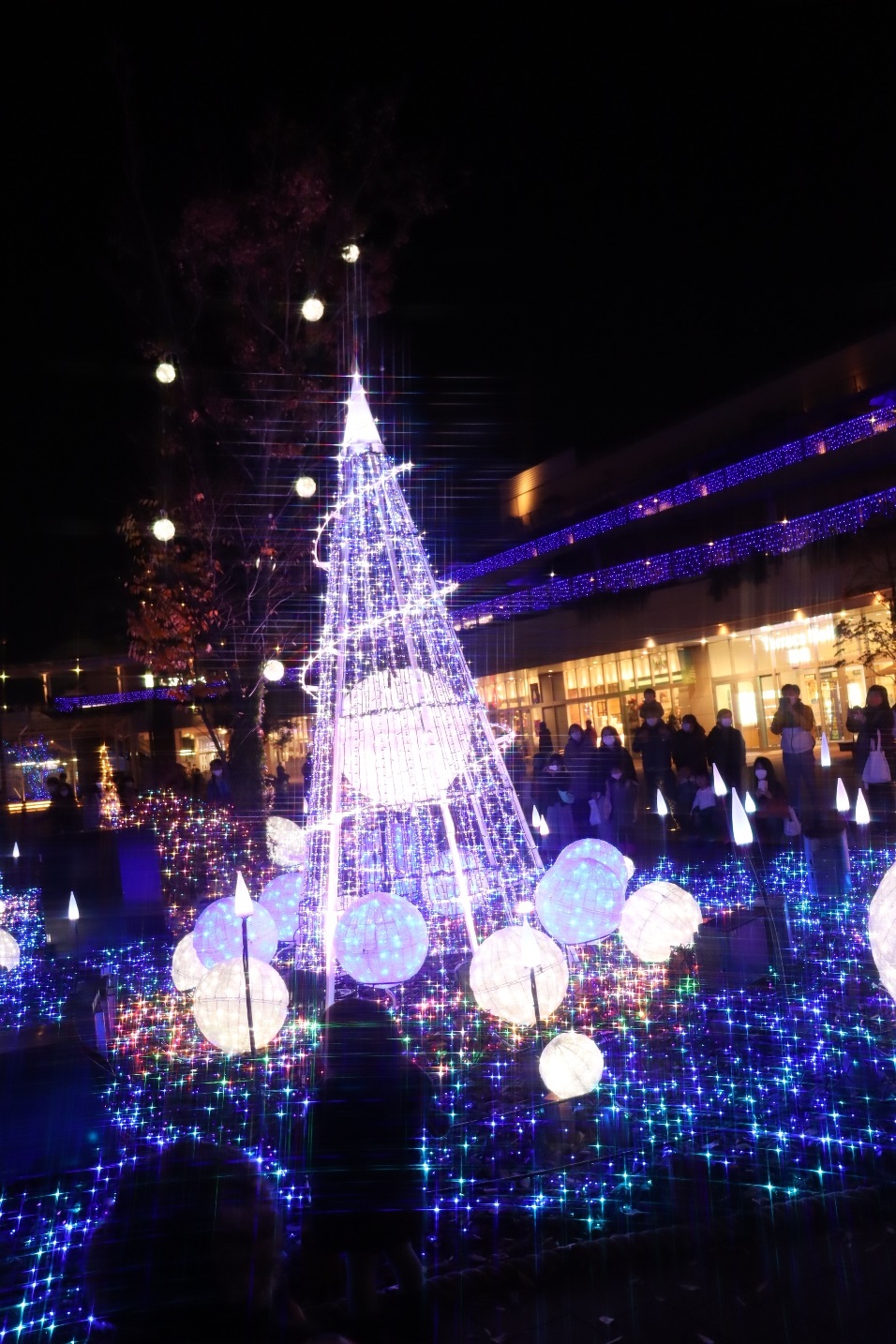 テラスモール湘南 ゲートスクエア Xmas Illumination 2020