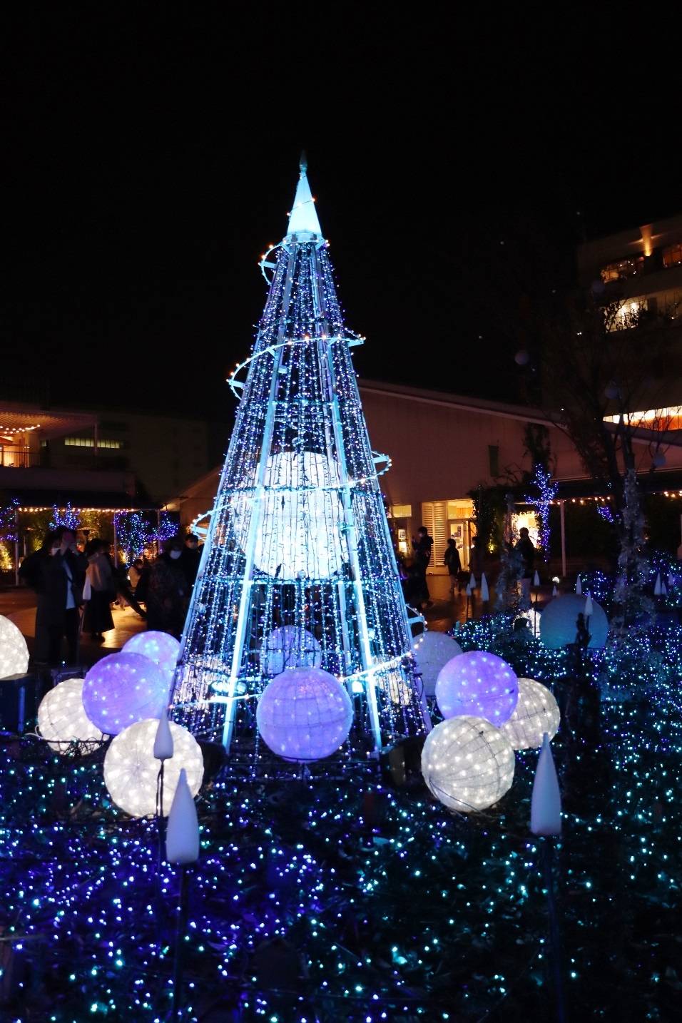 テラスモール湘南 ゲートスクエア Xmas Illumination 2020