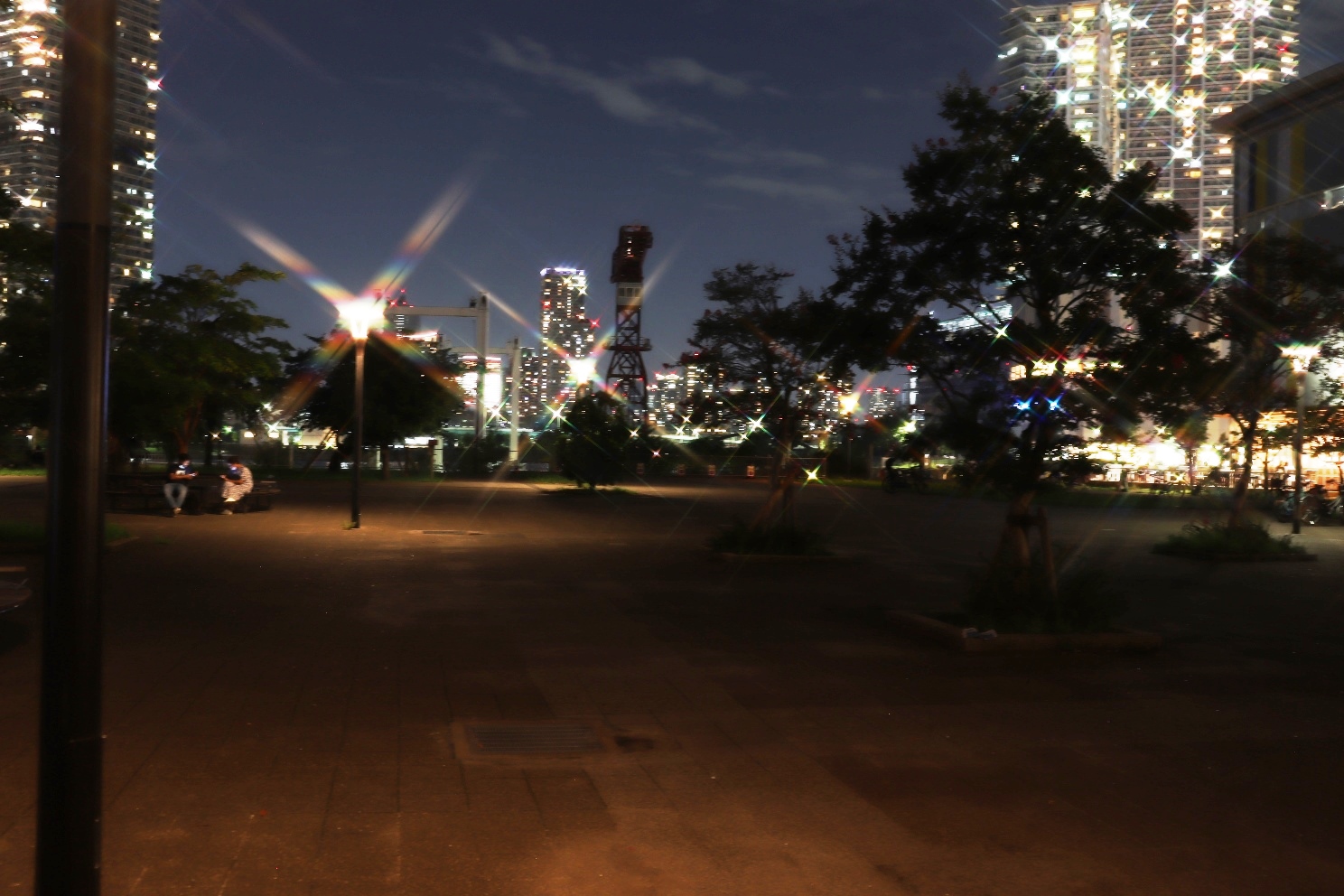 豊洲 豊洲公園 遊歩道