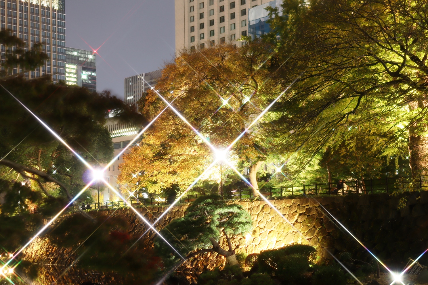 日比谷公園 心字池 紅葉