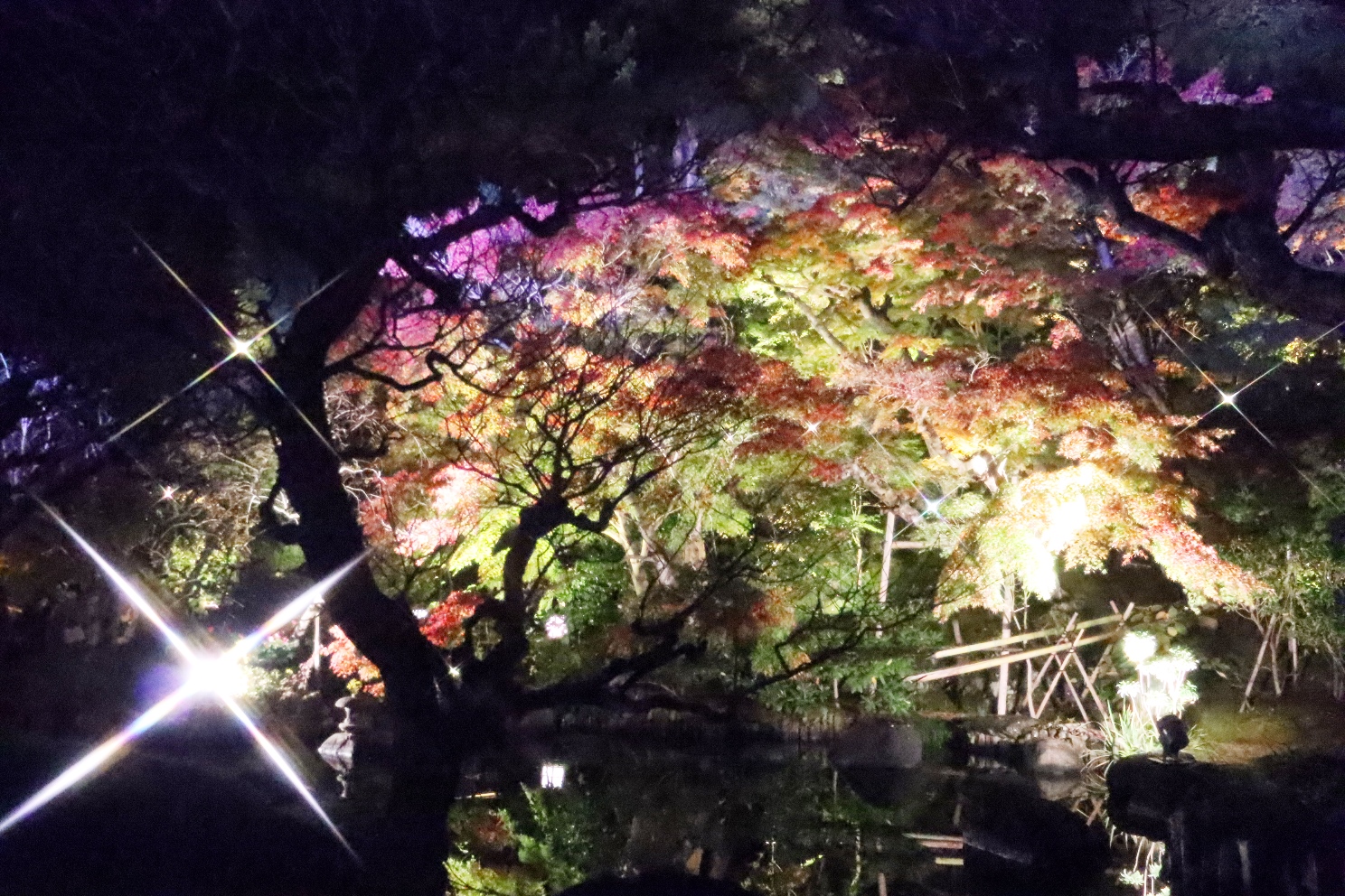 鎌倉 長谷寺 紅葉