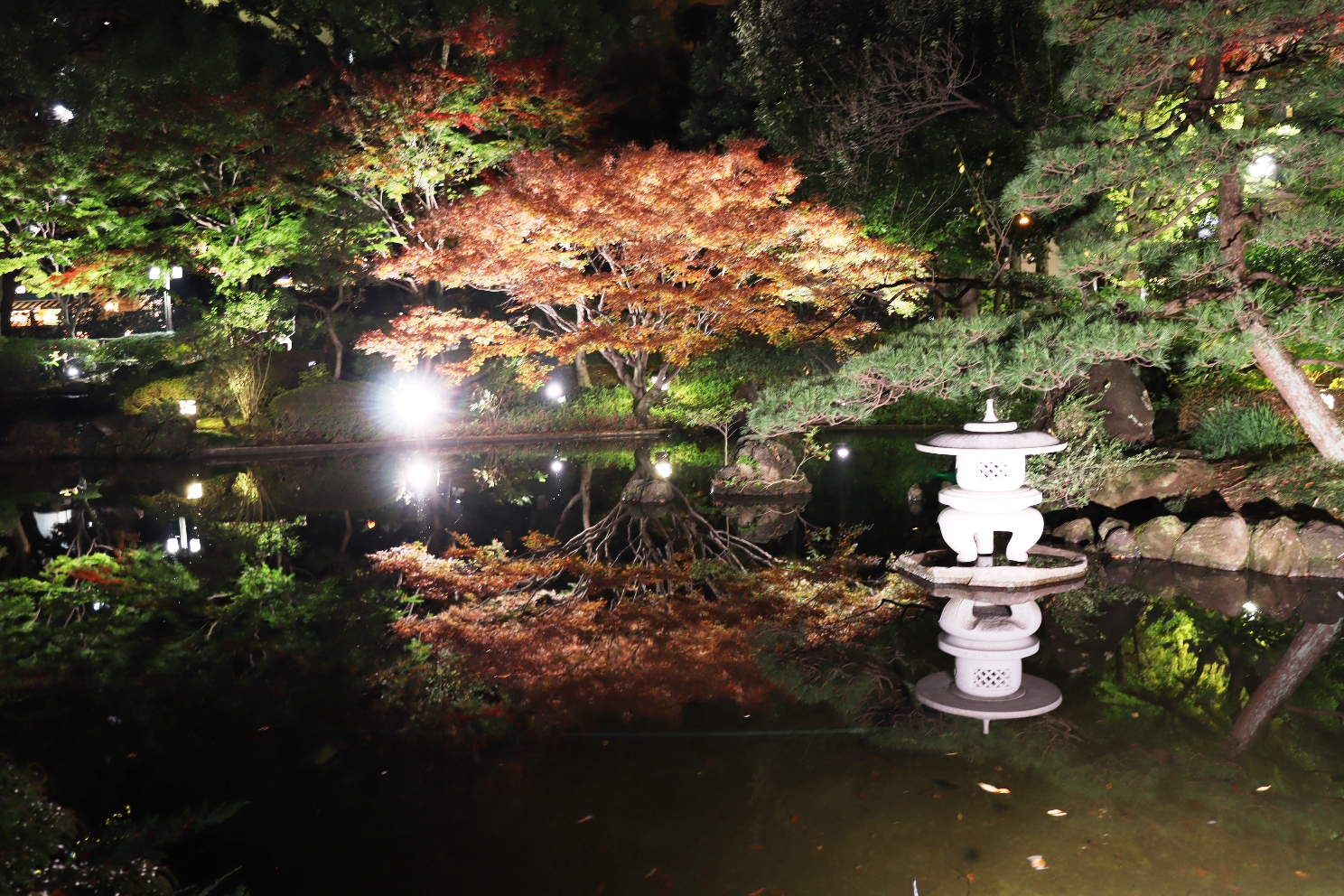 横浜公園 彼我庭園 紅葉