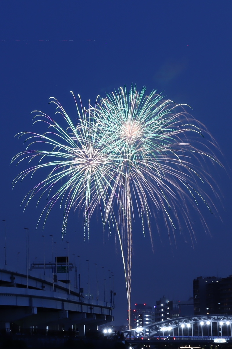 墨田区 汐入公園 隅田川花火大会