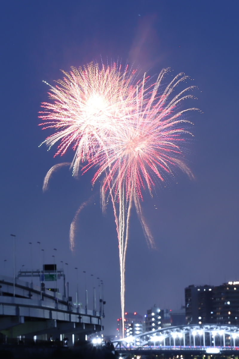 墨田区 汐入公園 隅田川花火大会