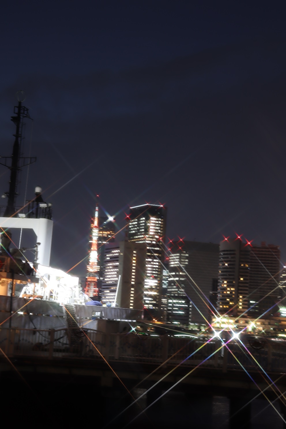 晴海 晴海ふ頭公園 東京タワー