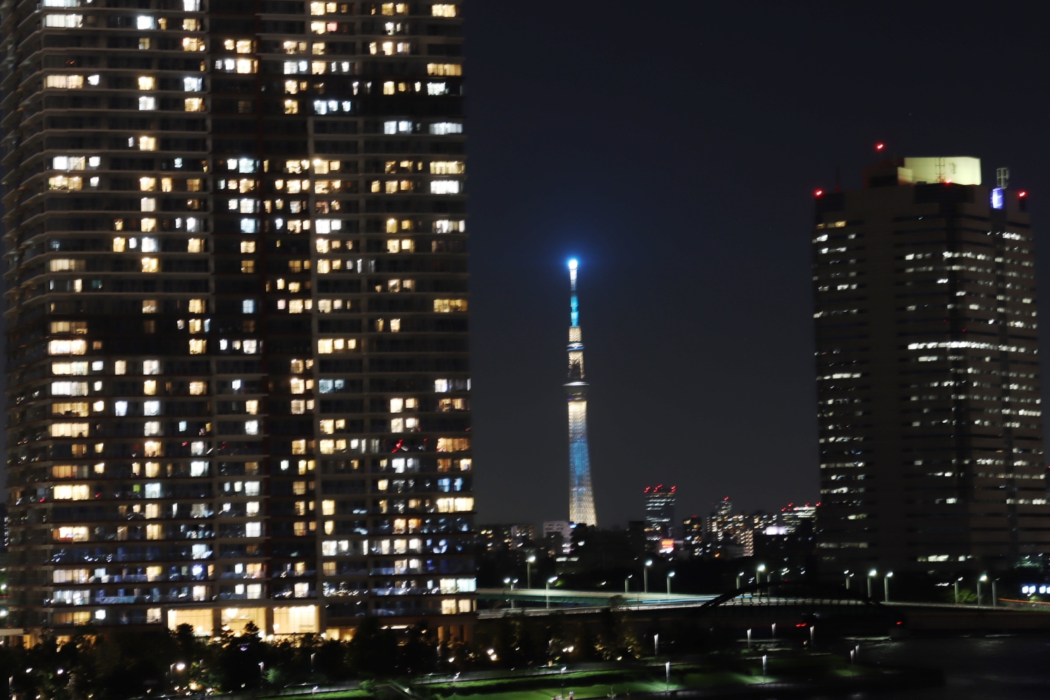 晴海 晴海大橋 東京スカイツリー