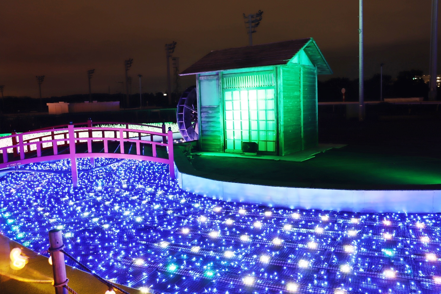 大井競馬場 東京メガイルミ 日本原風景