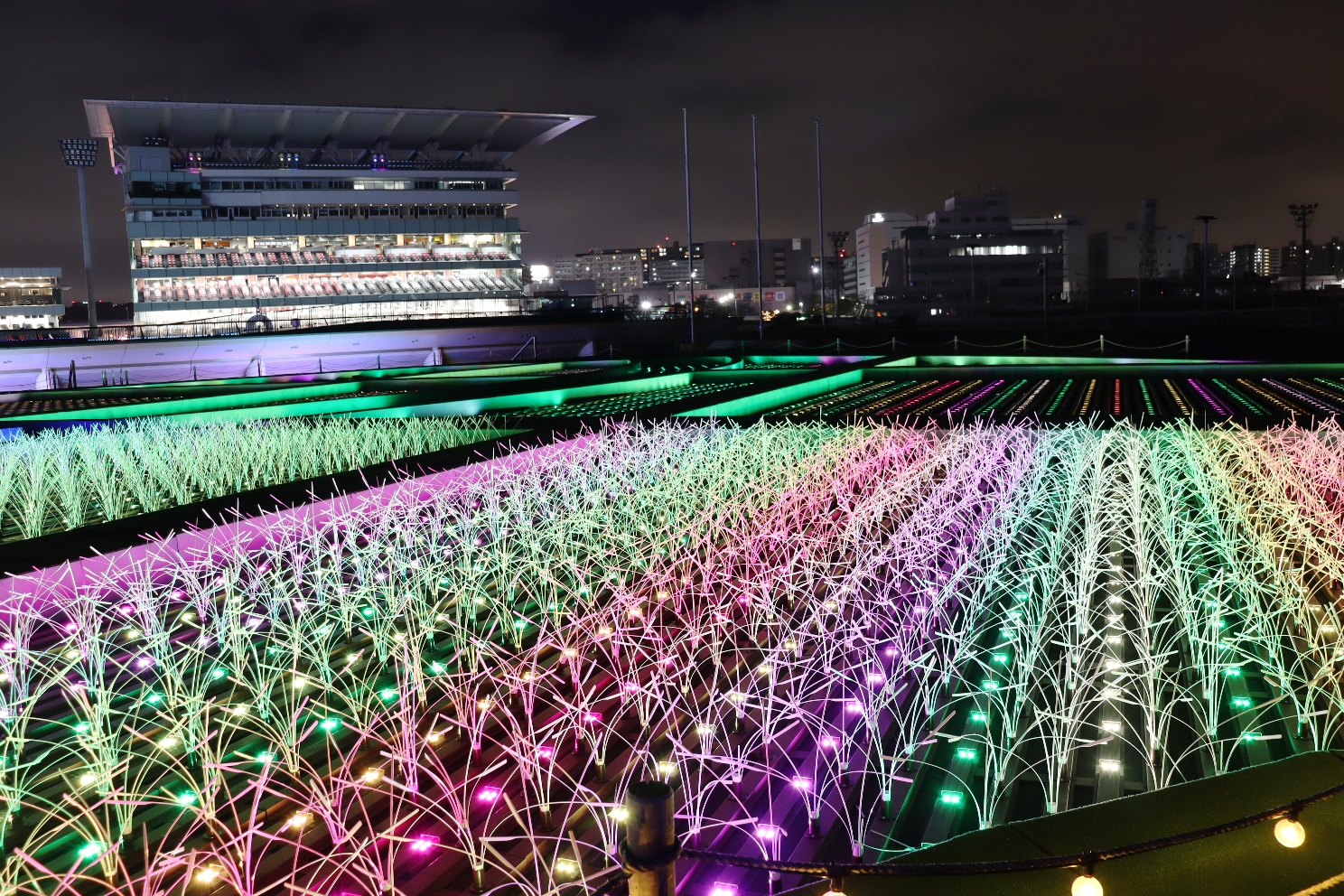 大井競馬場 東京メガイルミ 日本原風景