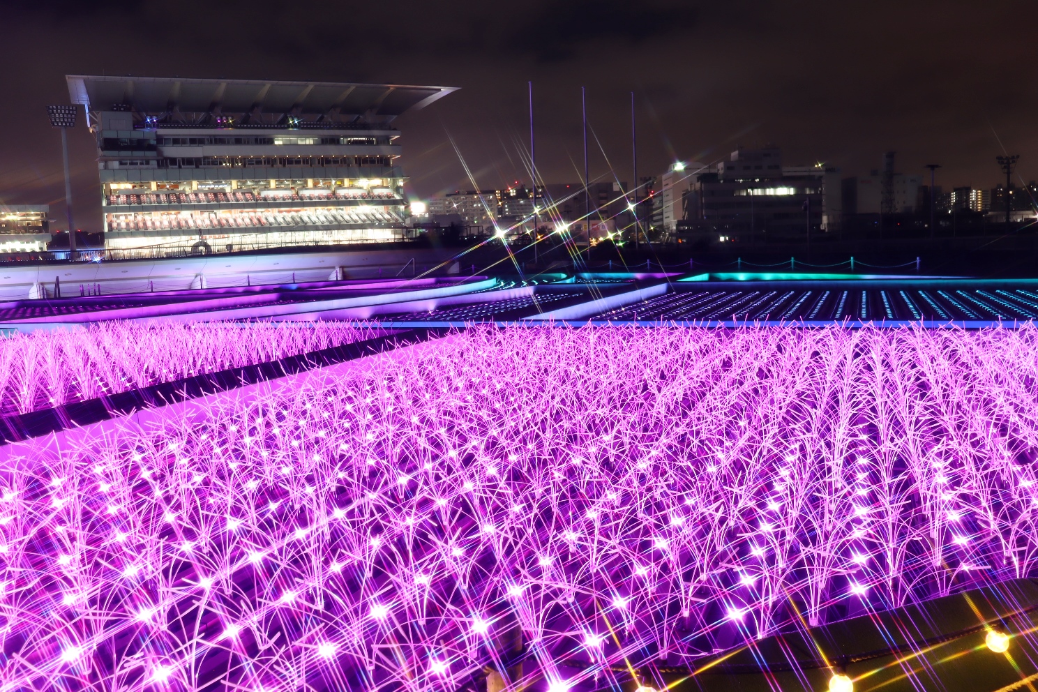 大井競馬場 東京メガイルミ 日本原風景