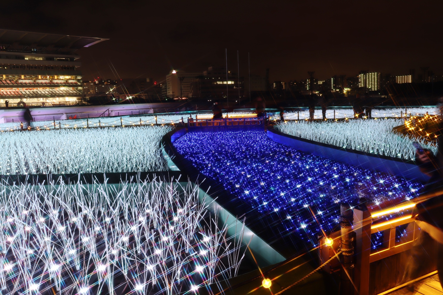 大井競馬場 東京メガイルミ 日本原風景