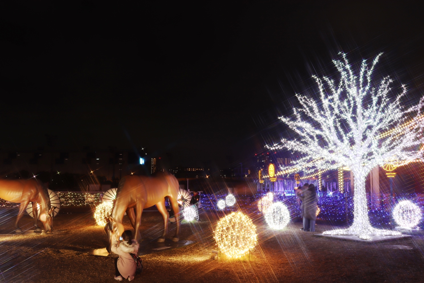 大井競馬場 東京メガイルミ 芝生広場