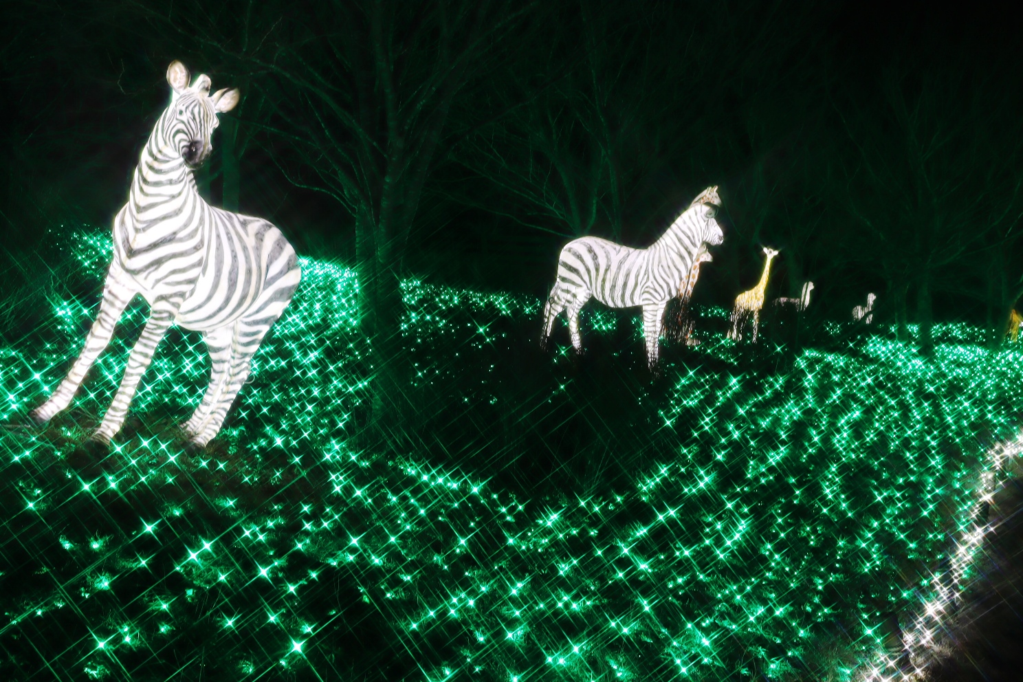 さがみ湖プレジャーフォレスト さがみ湖イルミリオン 光の動物園