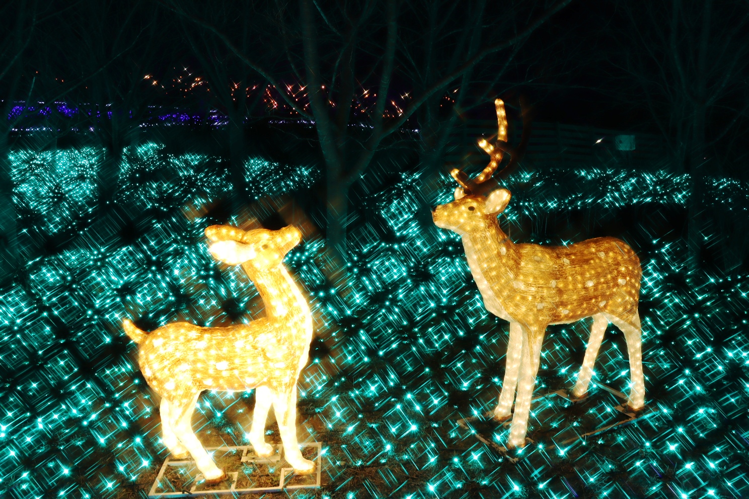 さがみ湖プレジャーフォレスト さがみ湖イルミリオン 光の動物園