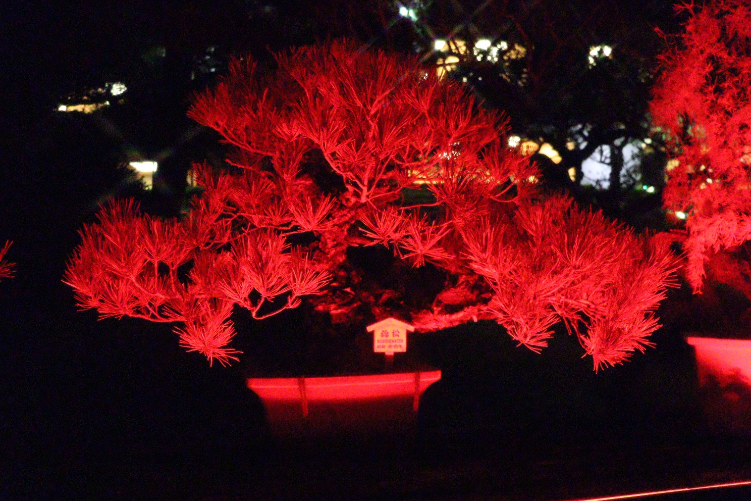 八芳園 池泉回遊式庭園 TOKYO RED GARDEN