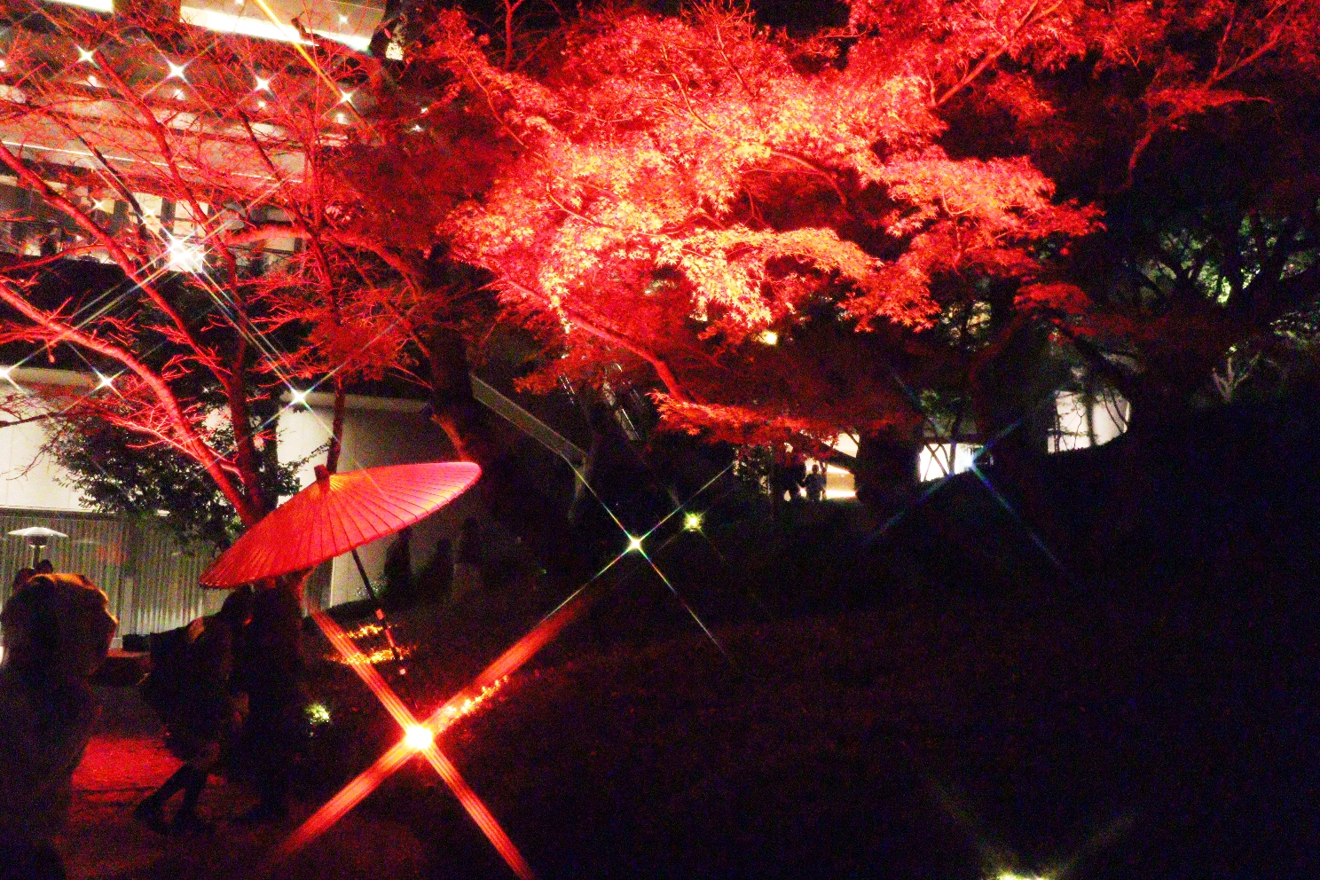 八芳園 池泉回遊式庭園 TOKYO RED GARDEN