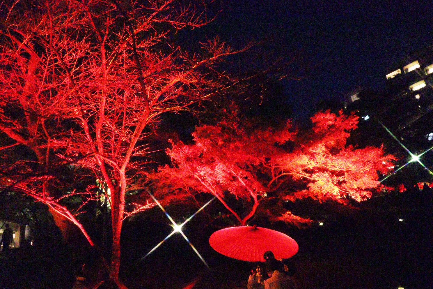 八芳園 池泉回遊式庭園 TOKYO RED GARDEN