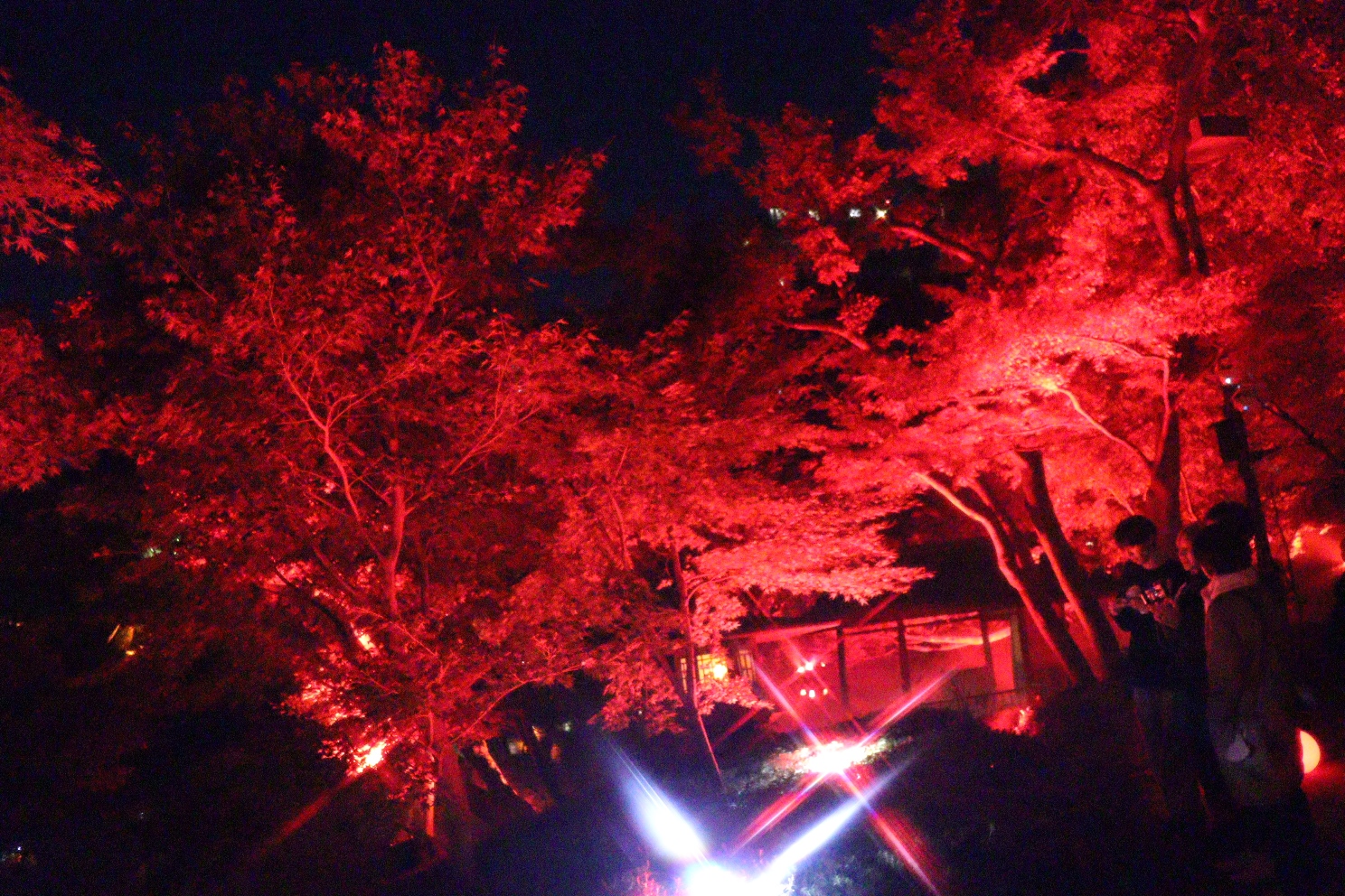 八芳園 池泉回遊式庭園 TOKYO RED GARDEN