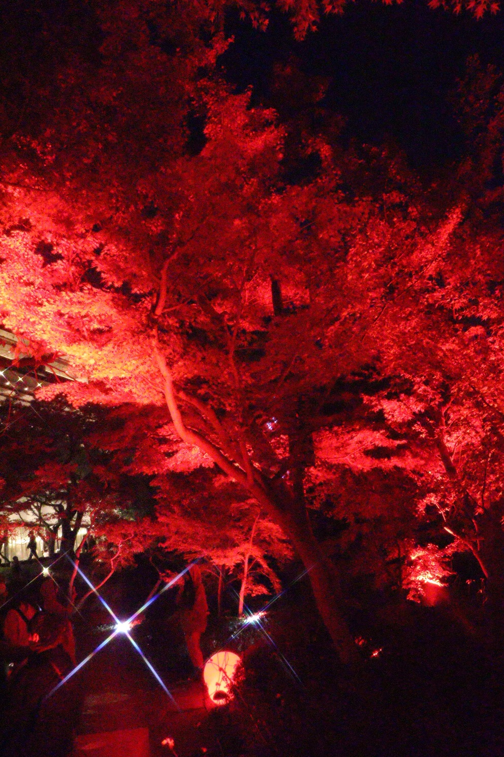 八芳園 池泉回遊式庭園 TOKYO RED GARDEN