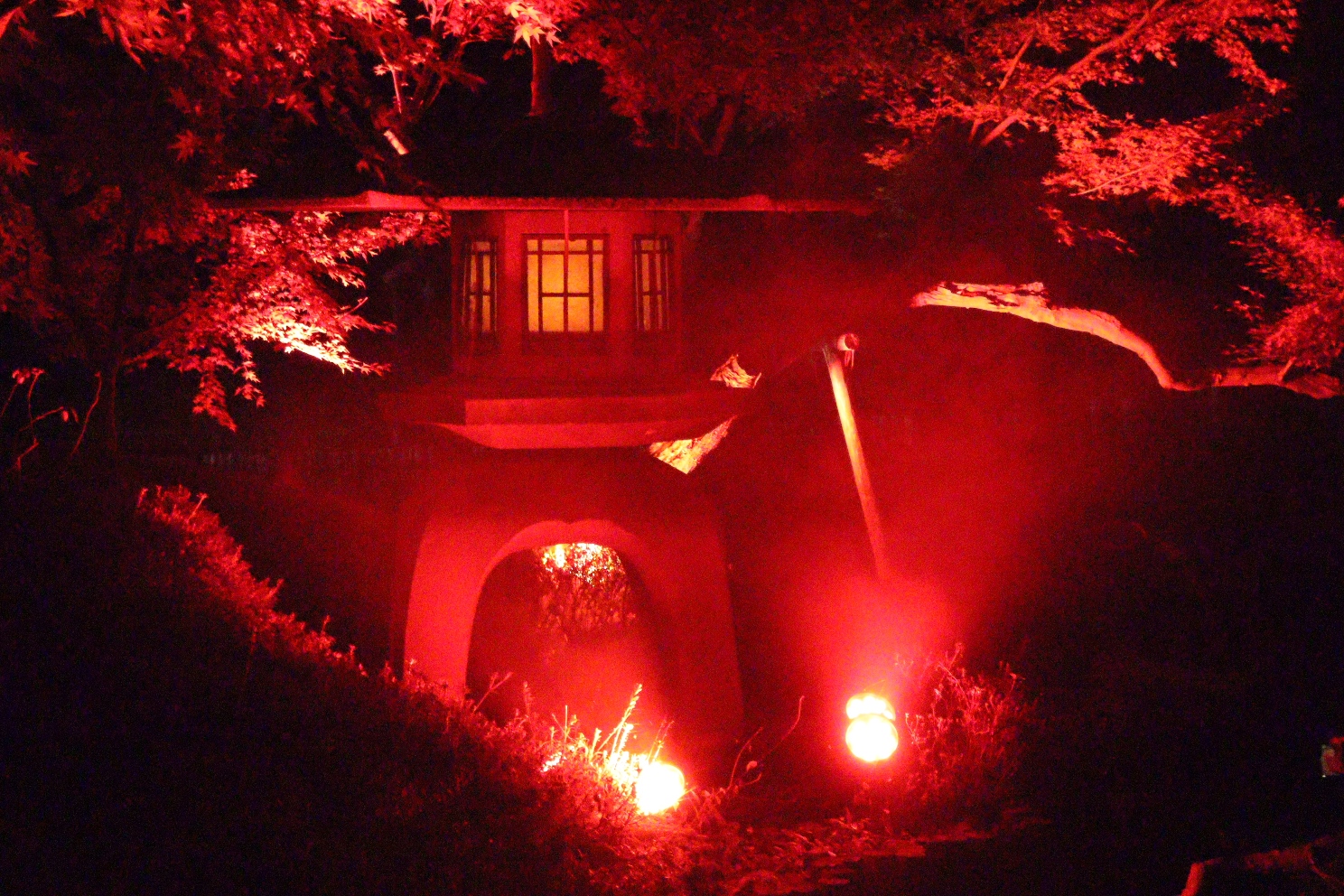 八芳園 池泉回遊式庭園 TOKYO RED GARDEN