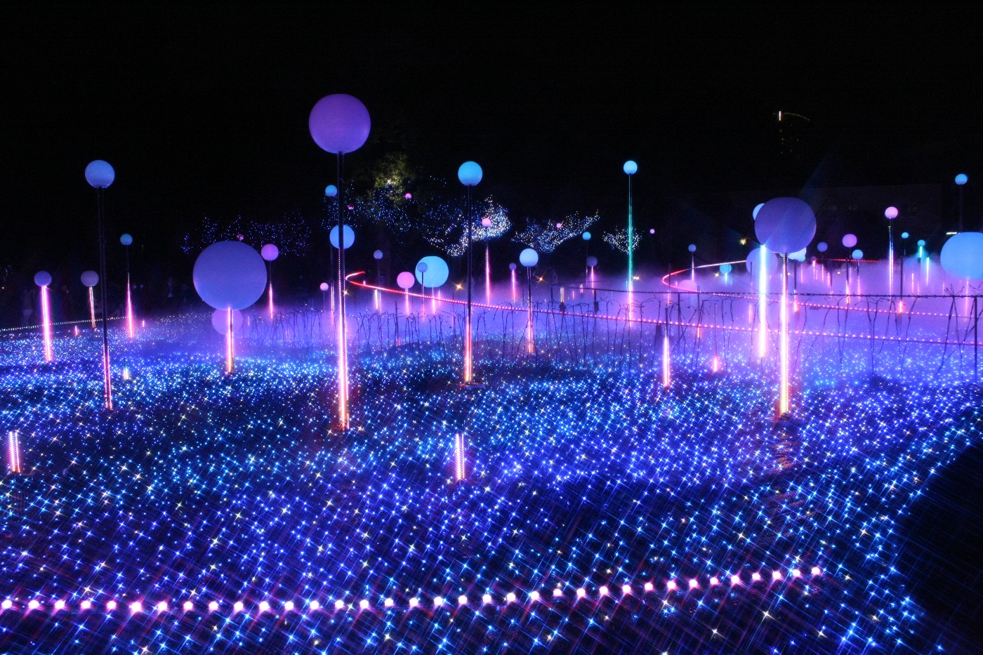 東京ミッドタウン 芝生広場 StarlightGarden2018