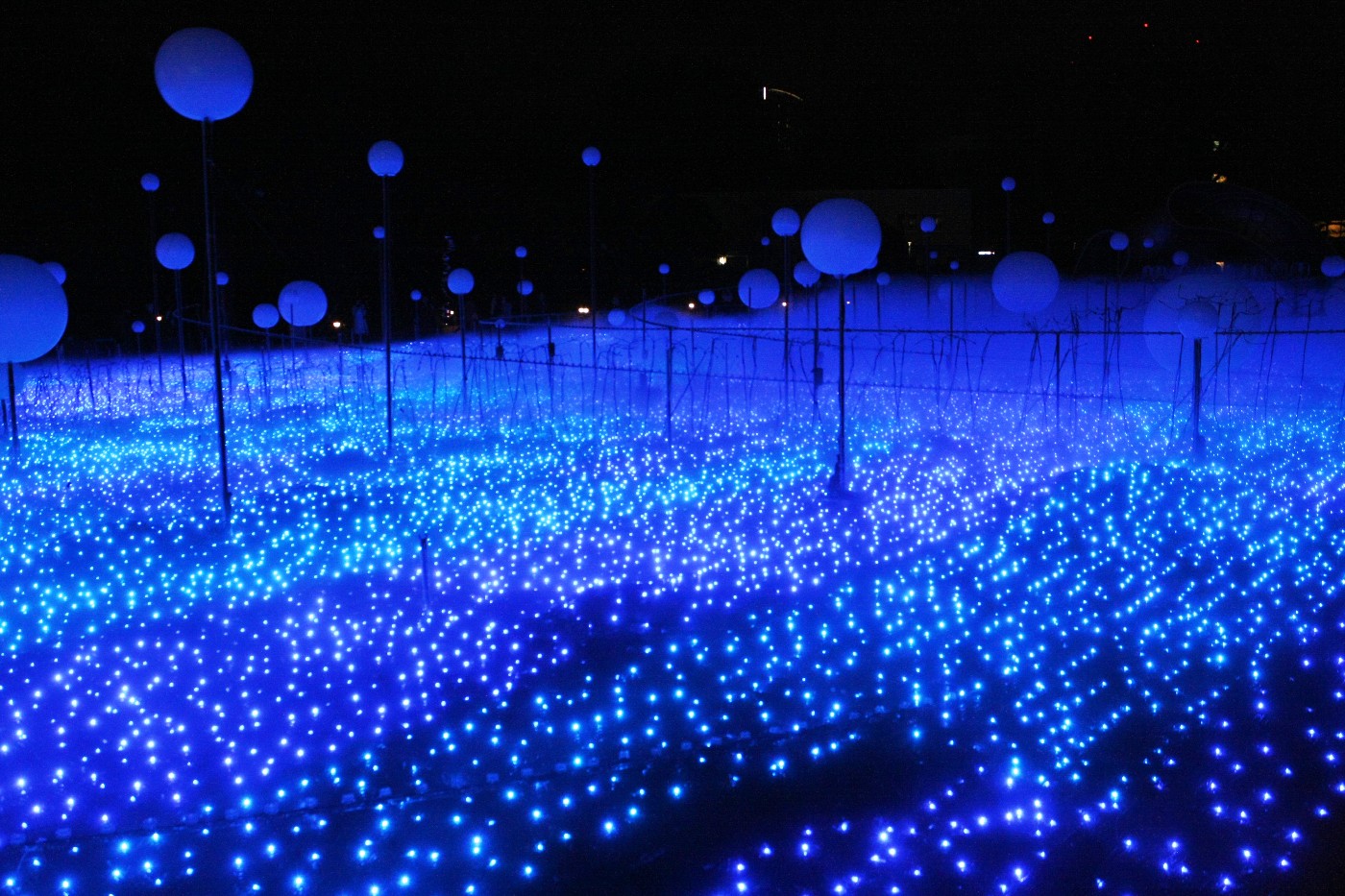 東京ミッドタウン 芝生広場 StarlightGarden2018