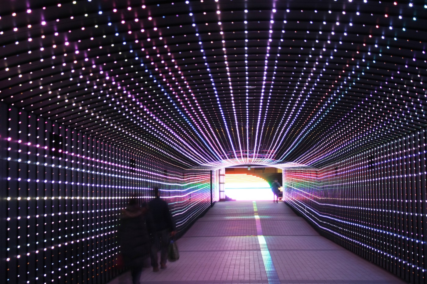 大井競馬場 東京メガイルミ TOKYO TIME TUNNEL ～ 光 ～