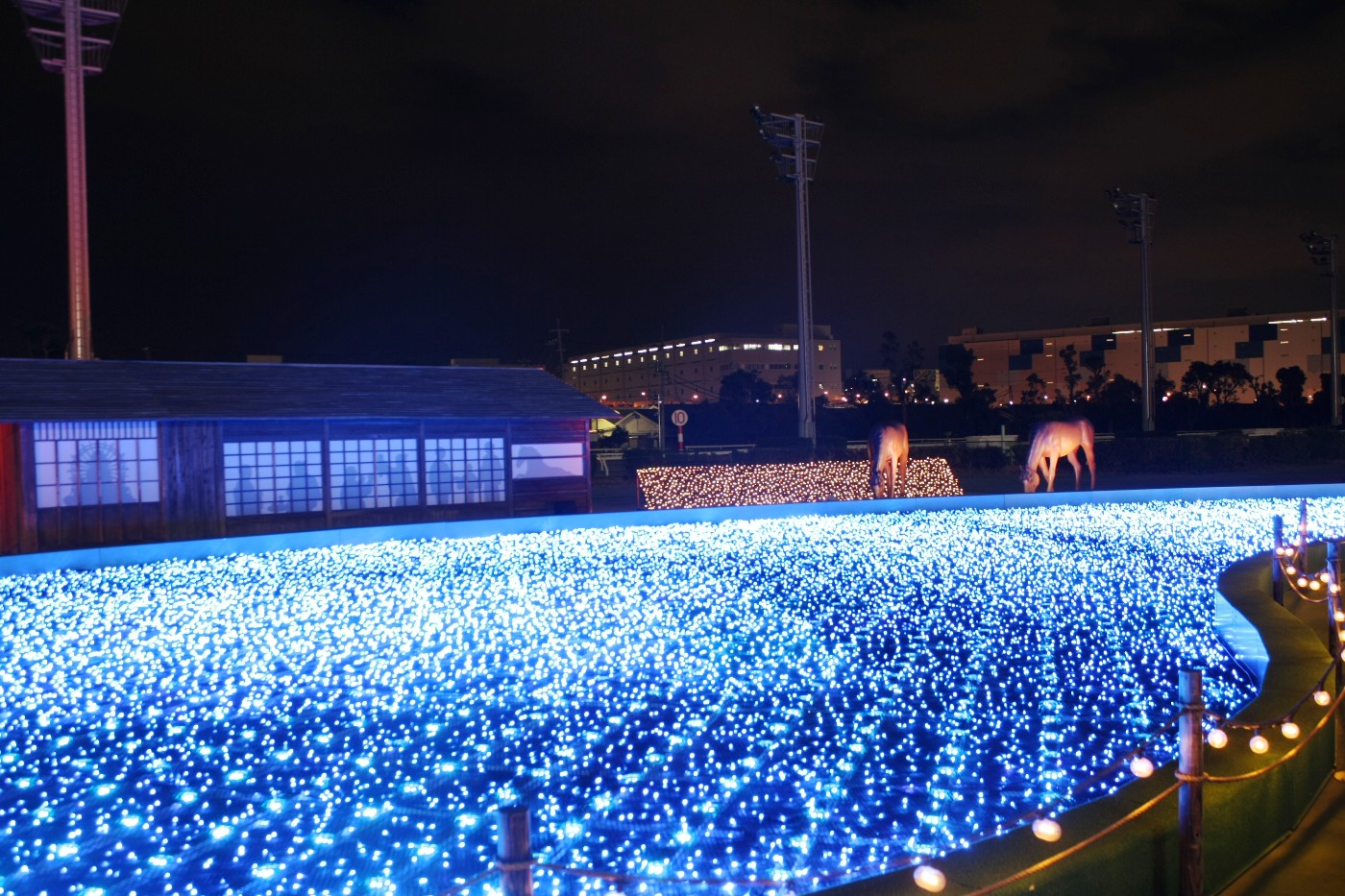 大井競馬場 東京メガイルミ THE GENFUKEI