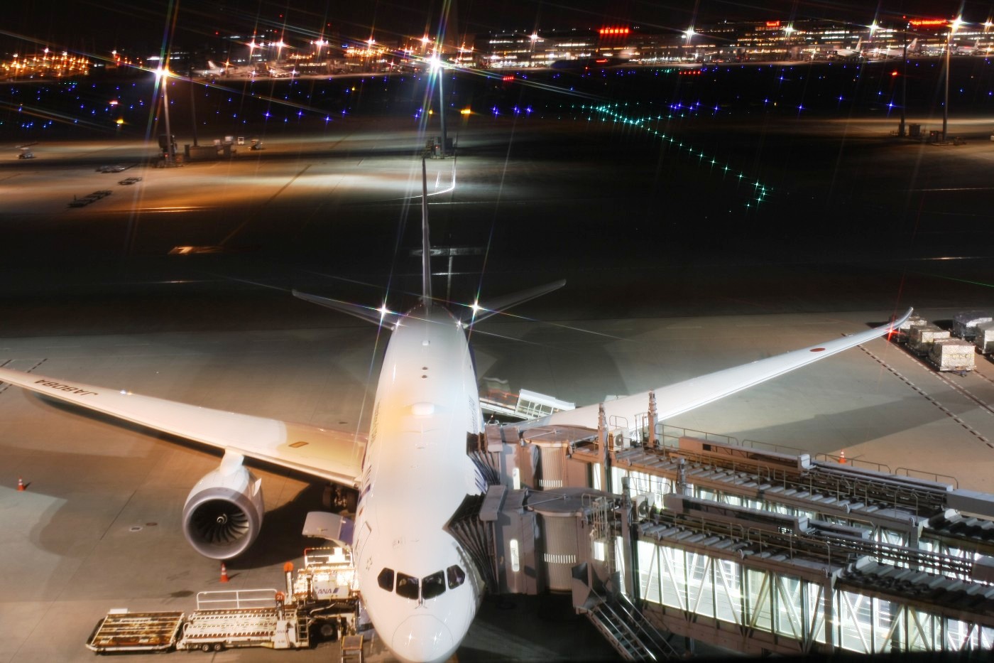 羽田空港 国際線ターミナル 駐機場