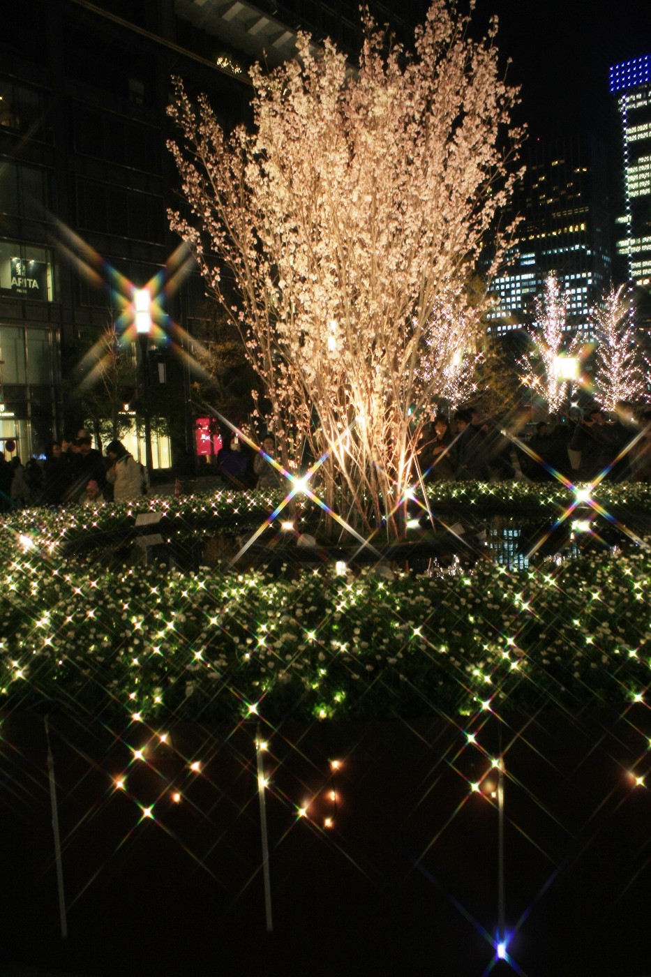 東京駅 光都東京 フラワーファンタジア