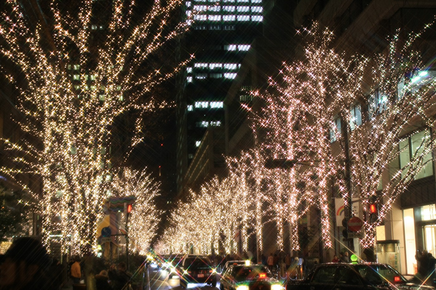 東京駅 光都東京 フラワーファンタジア