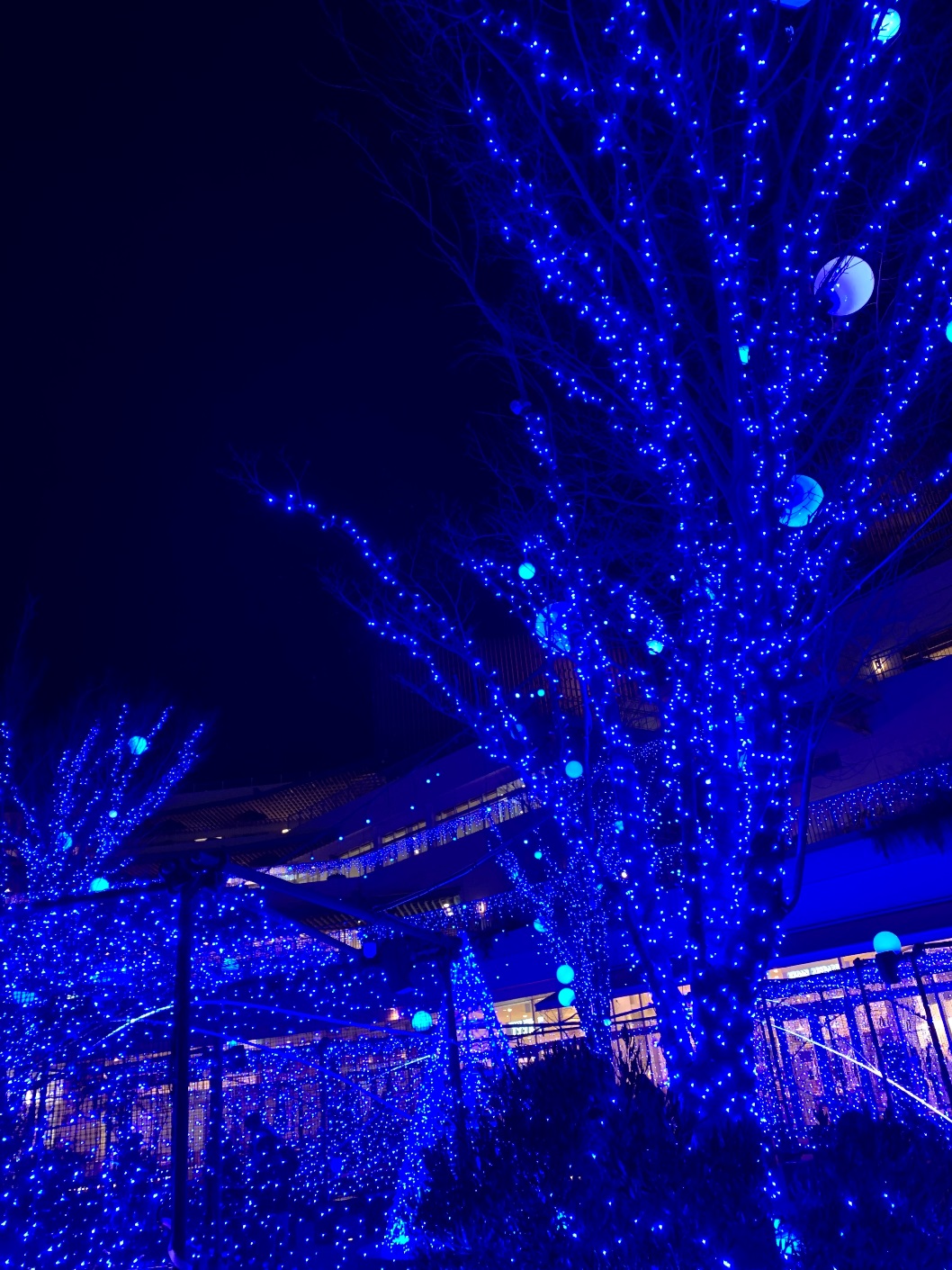 テラスモール湘南 ゲートスクエア Xmas Illumination 2022