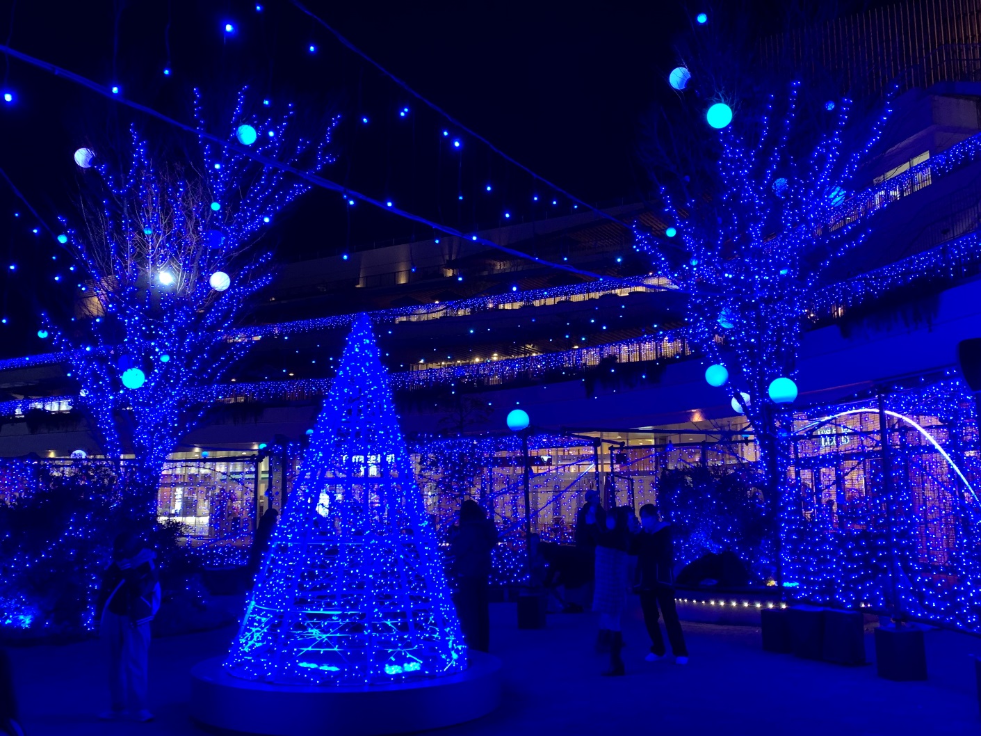 テラスモール湘南 ゲートスクエア Xmas Illumination 2022