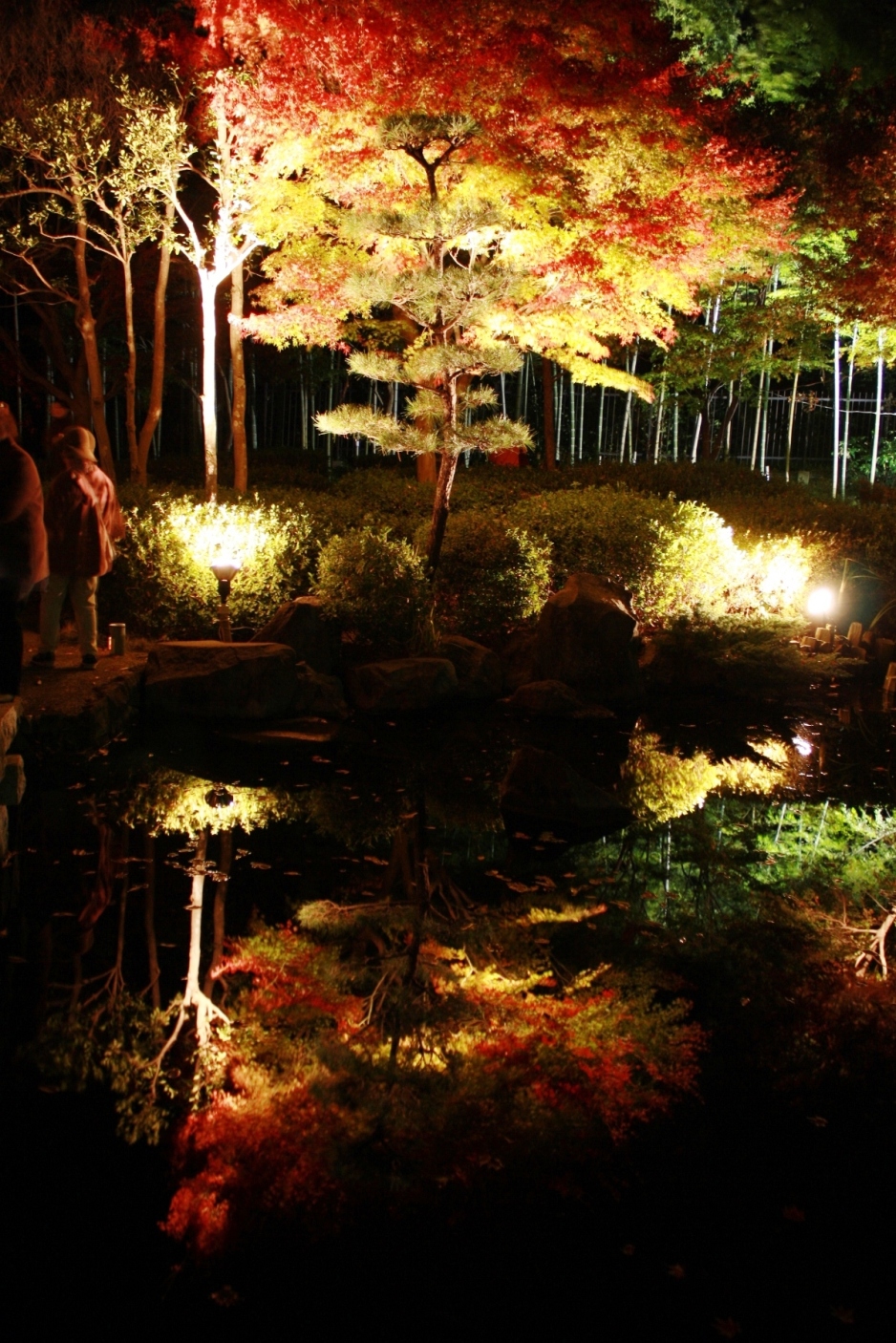 大磯 城山公園 紅葉