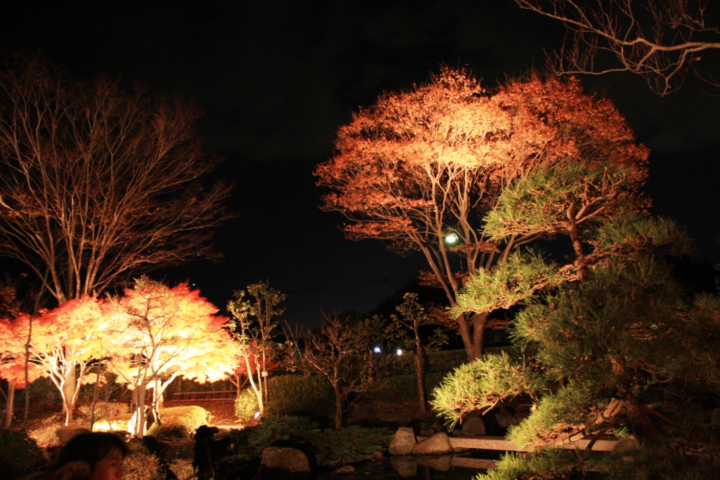 大磯 城山公園 紅葉