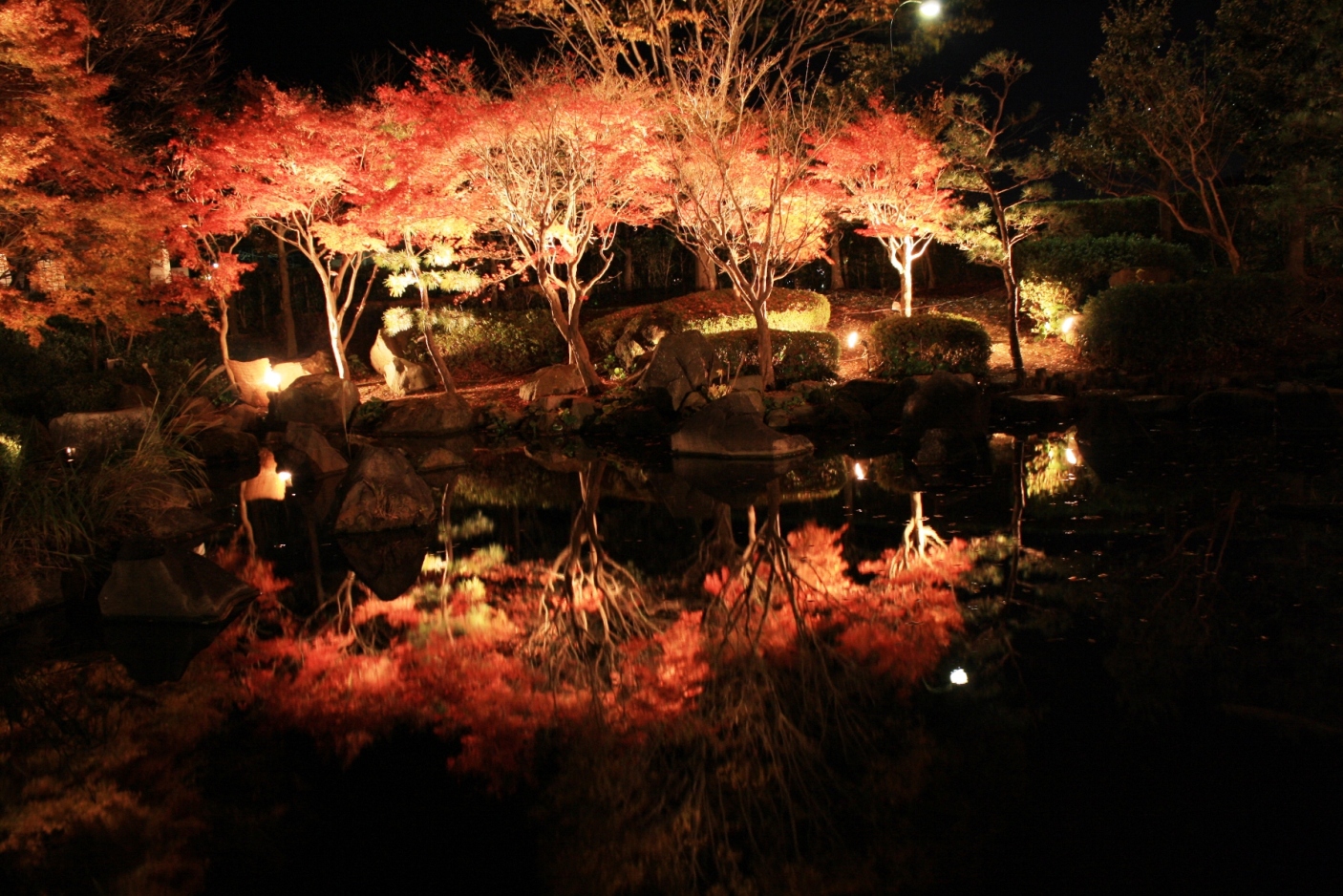 大磯 城山公園 紅葉