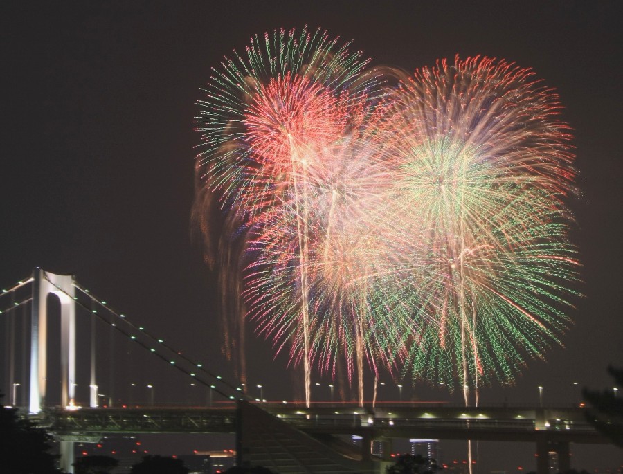 お台場 潮風公園 東京湾大華火祭